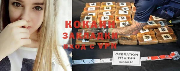 мет Ладушкин
