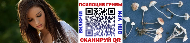 ссылка на мегу ТОР  нарко площадка официальный сайт  Псилоцибиновые грибы MAGIC MUSHROOMS  Ленинградская 